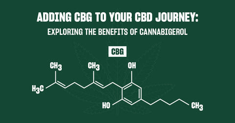 Adding CBG to Your CBD Journey: Exploring the Benefits of Cannabigerol