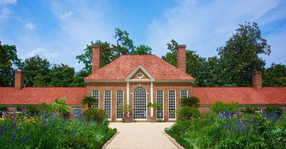 George Washington's Historic Estate Has Hemp Plants Once Again