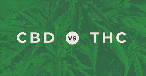 CBD and THC:  Similar and So Very Different