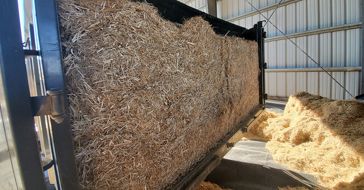 The Future of Hemp is More Than Just CBD