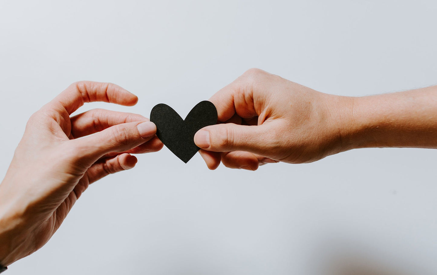 Lazarus Naturals Surpasses Charitable Goal for The Epilepsy Foundation