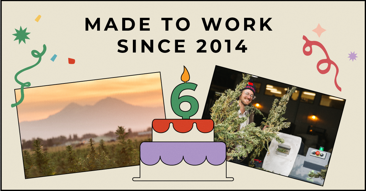 It’s our 6th birthday. Look how far we’ve come.