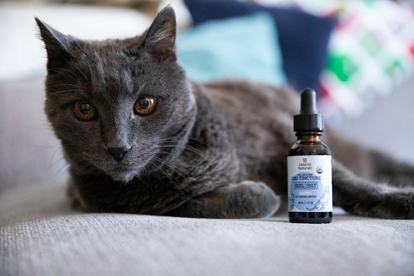 CBD for Better Sleep Habits—For You and Your Pets