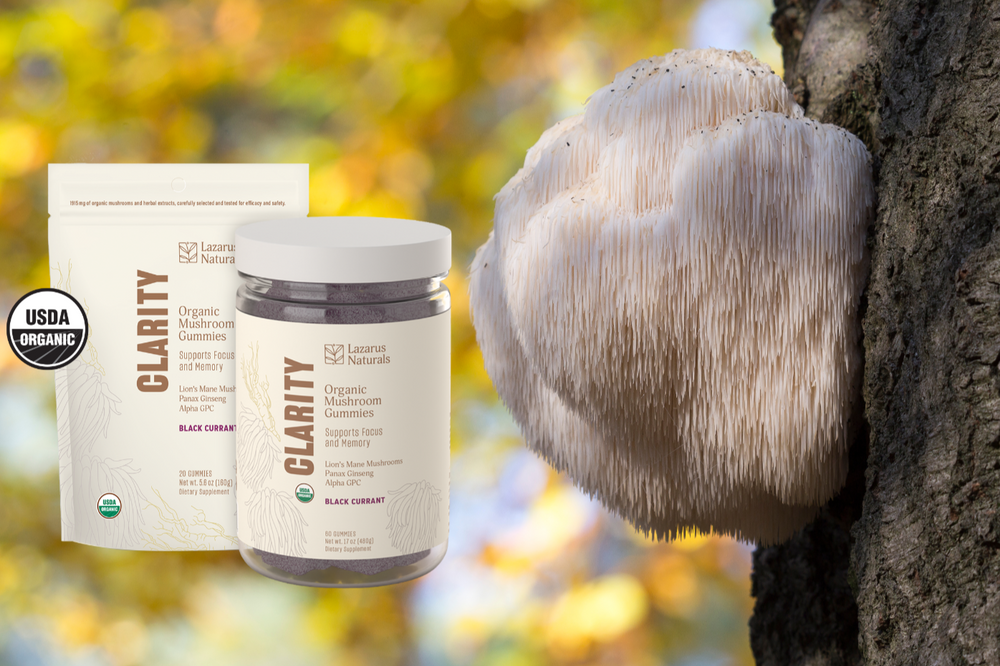 Almo Nature Holistic Maintenanceラム 2kg4袋 Almo Nature Life