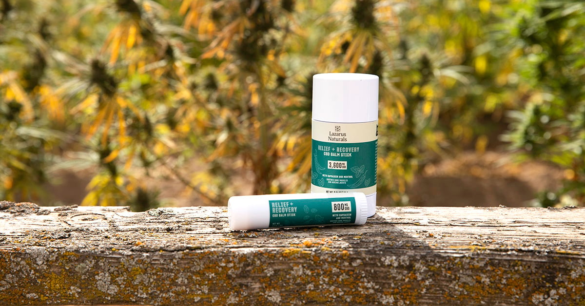 CBD Balms For Next-Level Relief