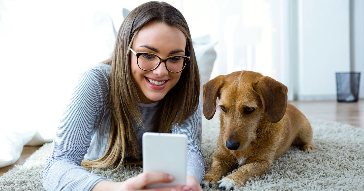 Hundreds Of Dog Owners Share Their Stories With The FDA