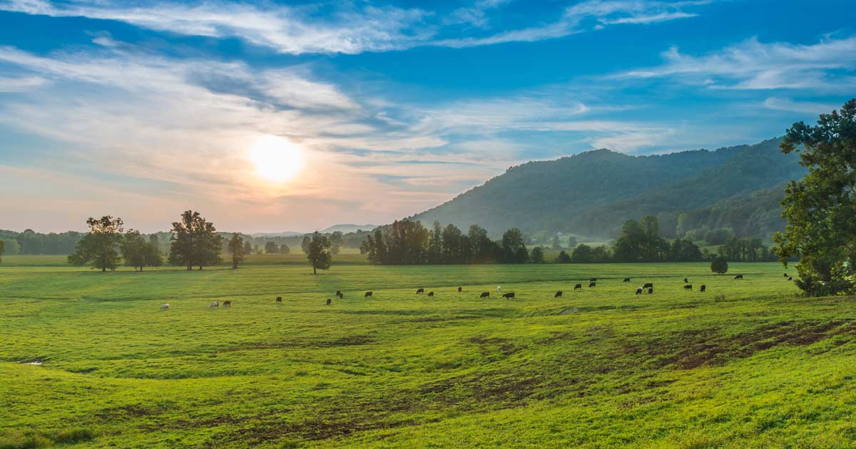 Kentucky Pushes For Statewide Hemp Comeback