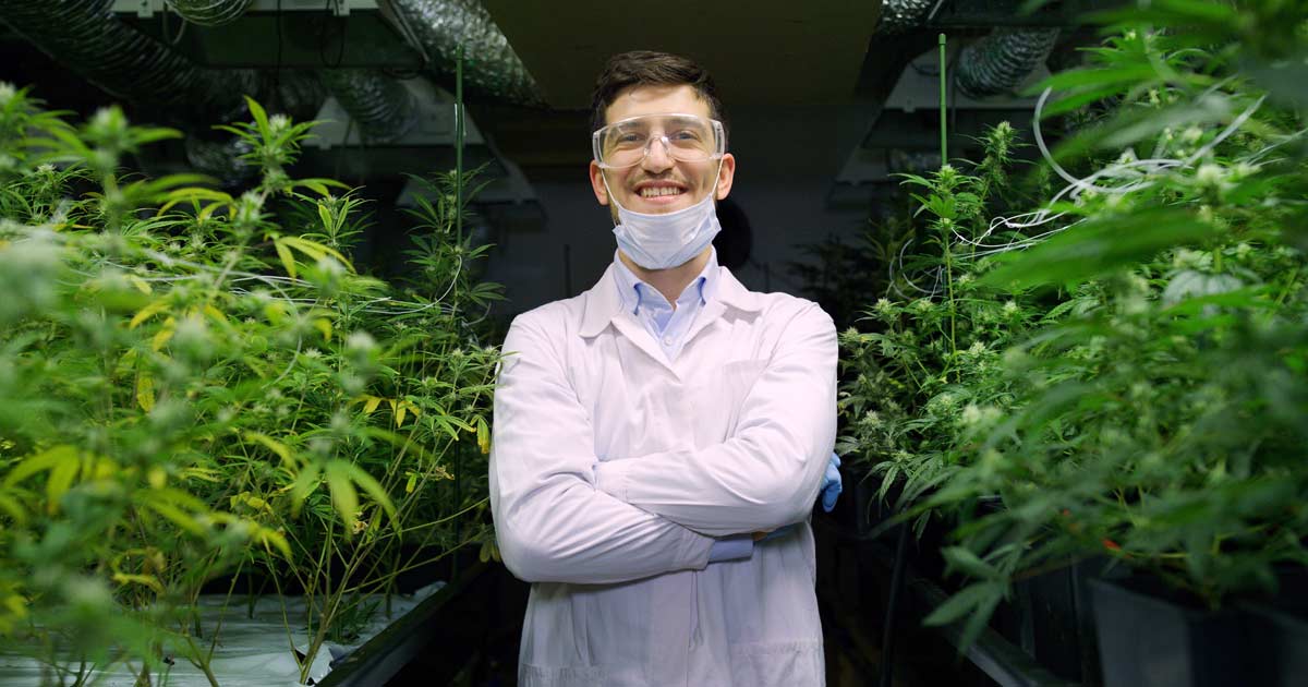 U.S. Government Gives CBD Research $3 Million Boost