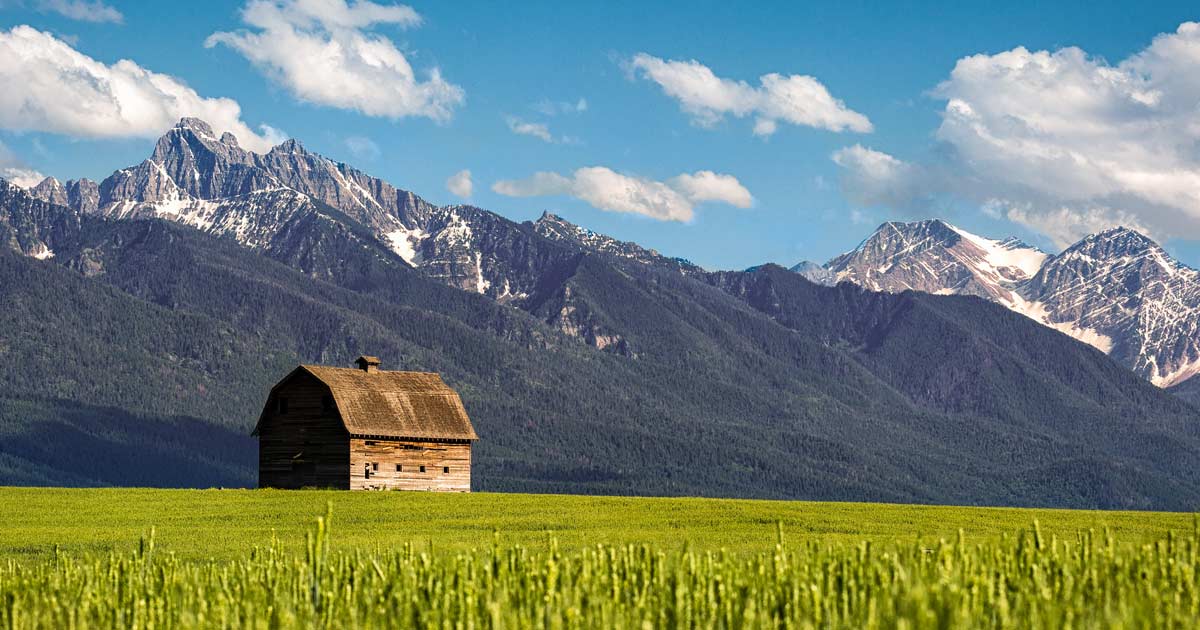Montana Establishes Itself In American Hemp Movement