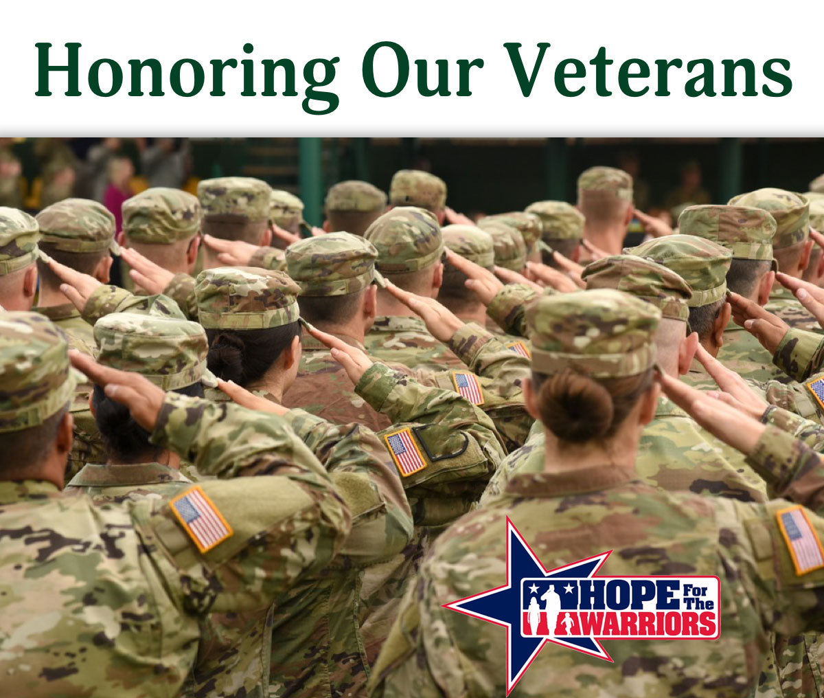 Honoring Our Veterans