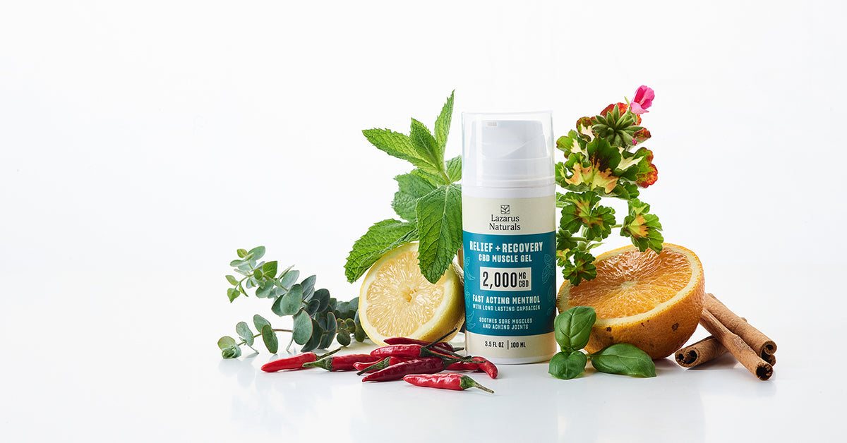 Why We Incorporate Functional Ingredients Into Our CBD Products