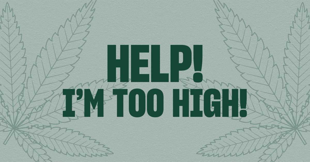 Too High? Here's Your Guide To Not Freaking Out