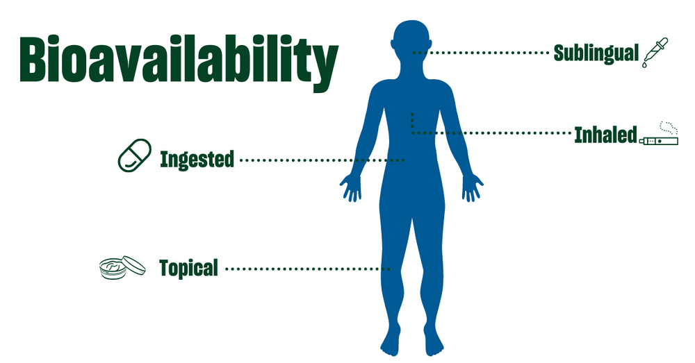 Low Bioavalability What is Bioavailability? – Lazarus Naturals