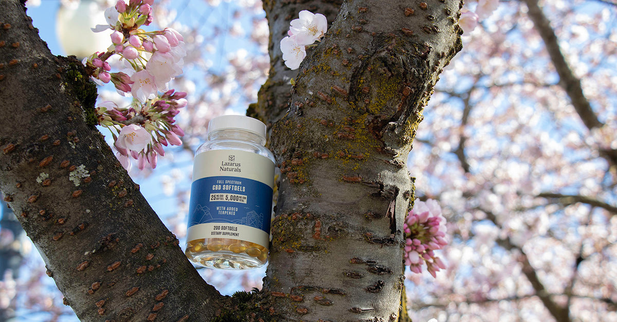 8 Ways CBD Can Make Spring Cleaning More Fun