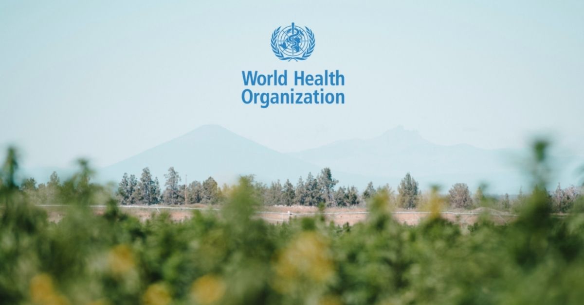 World Health Organization Recommends Loosening CBD Restrictions