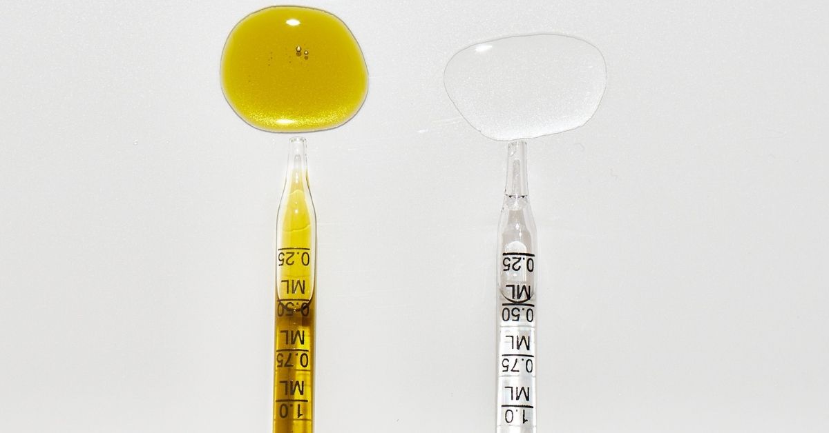 CBD For Newbies - Top 10 Things To Know