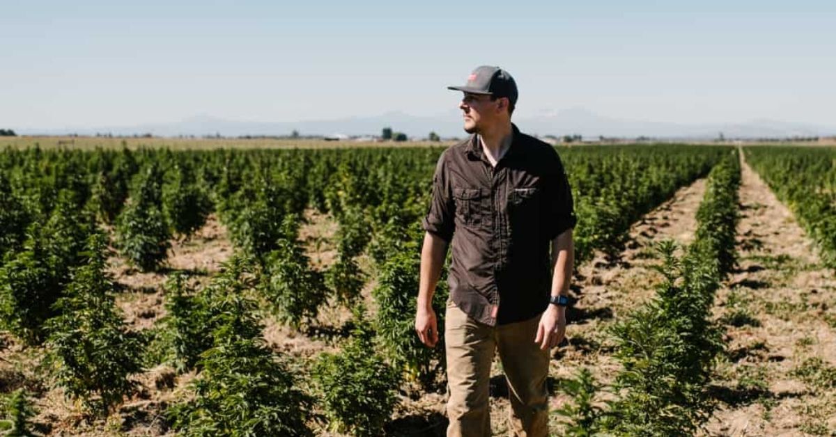WA Residents Call to Action: House Bill 1401 Looks to Revamp Washington Hemp Legislation