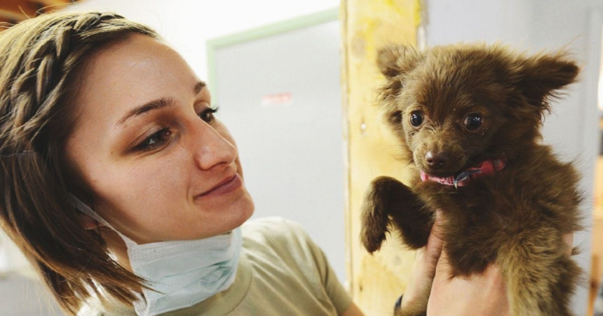Will Your Vet Discuss CBD With You?