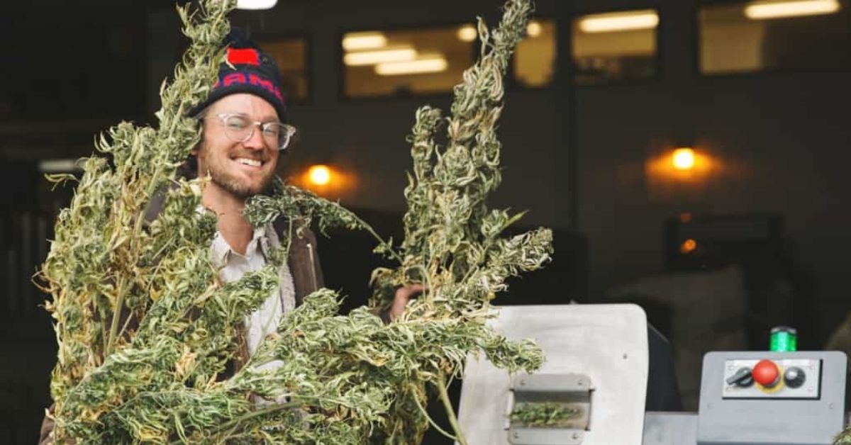 Lazarus Naturals January Press Highlights