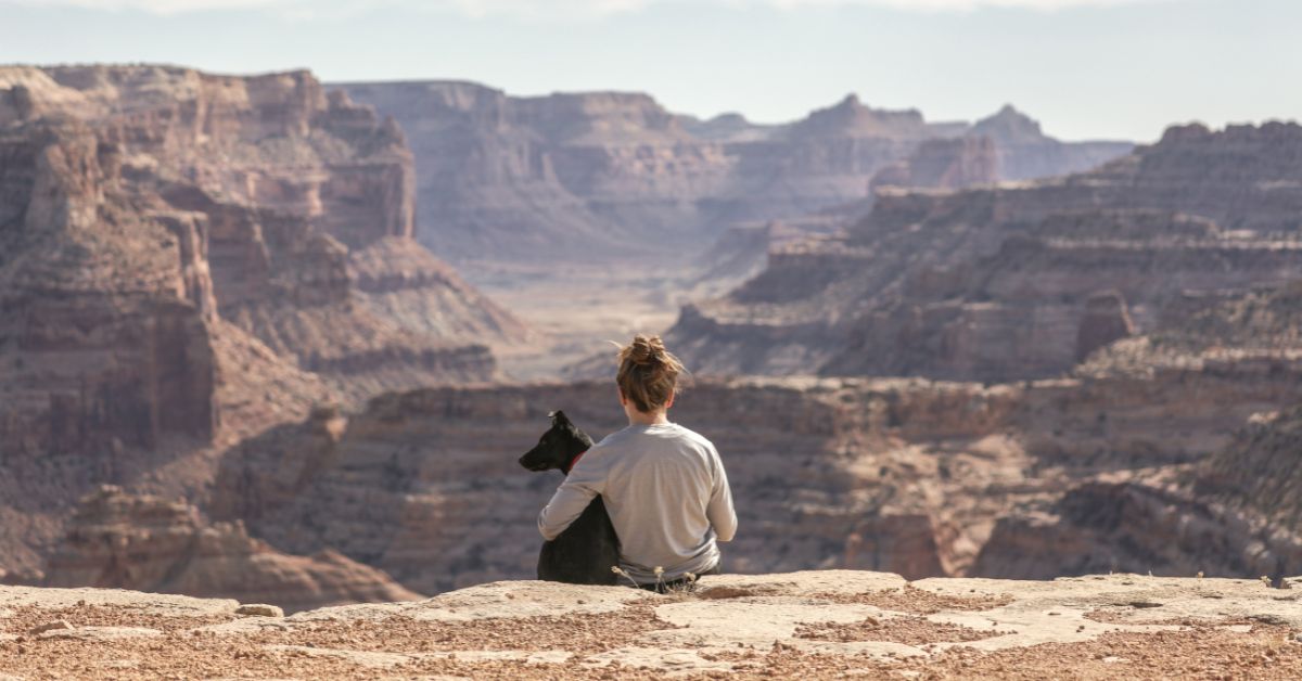 Traveling with Pets: 8 Tips for a Stress-Free Trip (for You and Them)