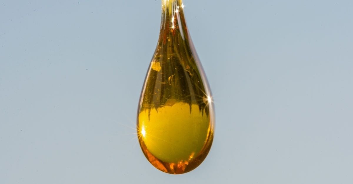 Will CBD Prices Go Down?