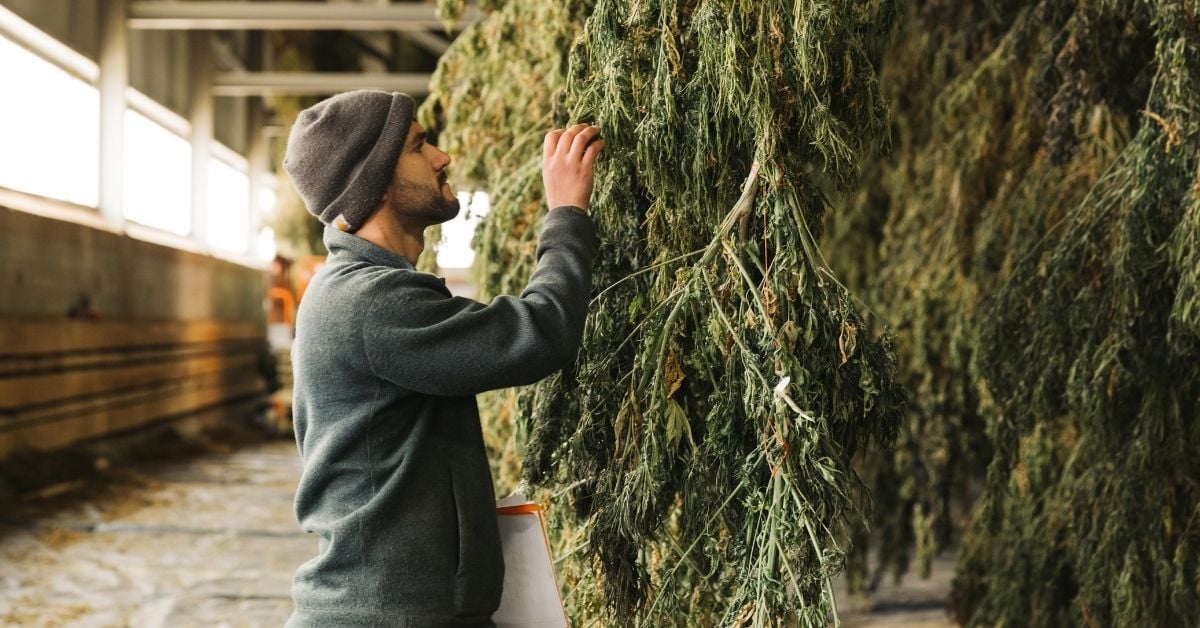 Why Do We Test for Pesticides and Heavy Metals?
