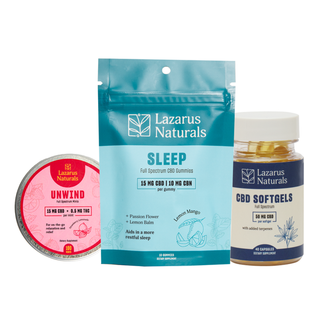 Vacation Essentials Bundle