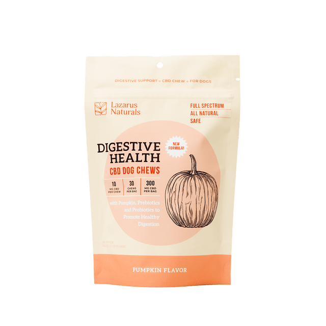 Digestive Health CBD dog chews in a pumpkin flavor pouch, promoting digestion and gut health for dogs.